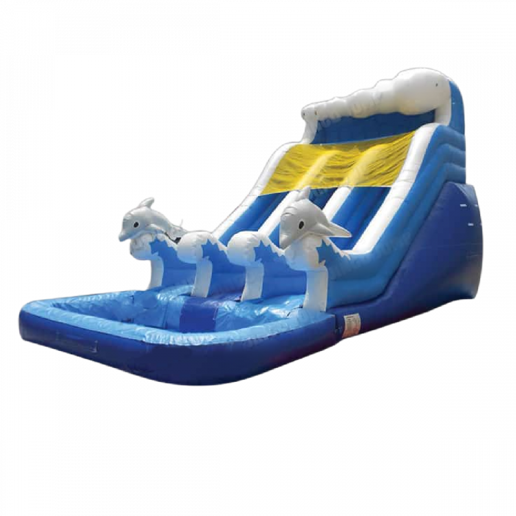 16ft Double Lane Dolphin Waterslide-Dry