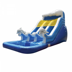 16ft Double Lane Dolphin Waterslide